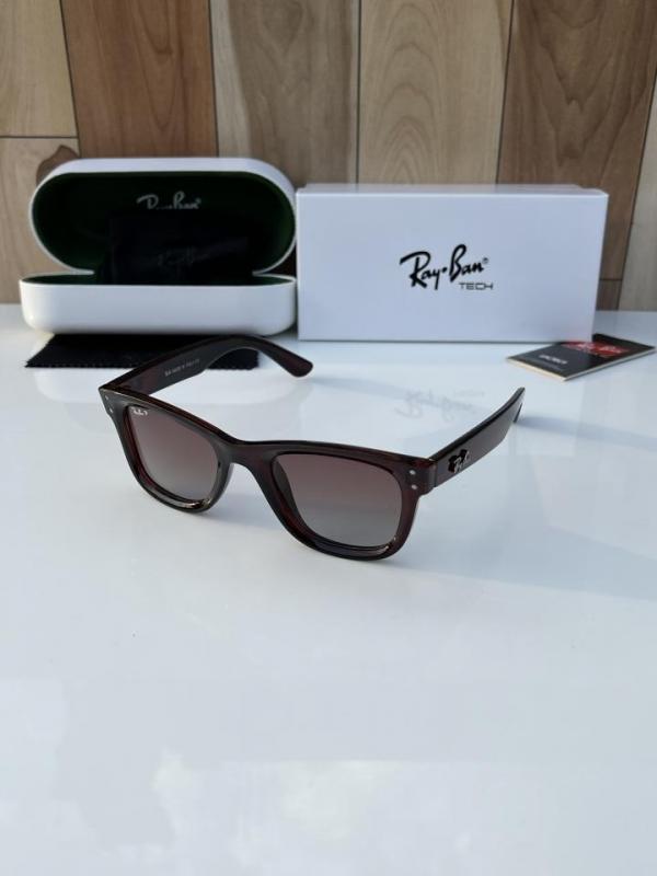 Ray-ban 0502 brown