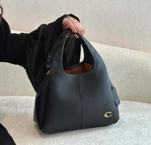Coaach_lana hand bag premium quality with box