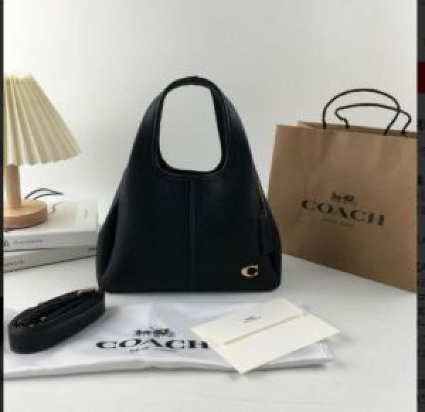 Coaach_lana hand bag premium quality with box
