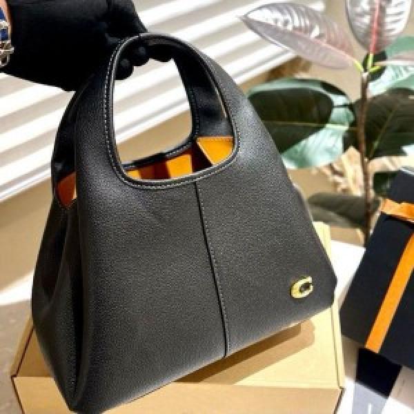 Coaach_lana hand bag premium quality with box