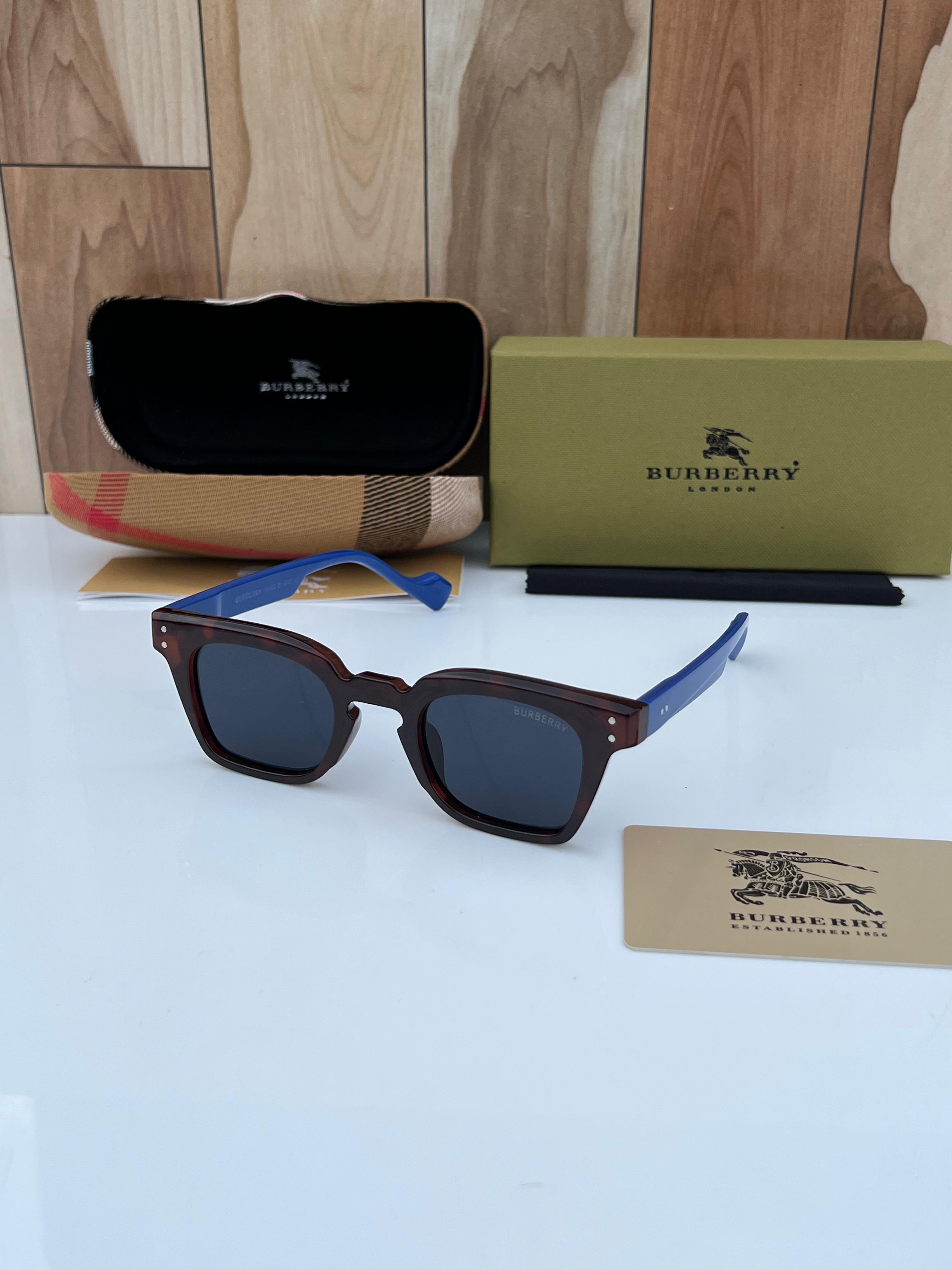 Bur 2001 BROWN BLUE A