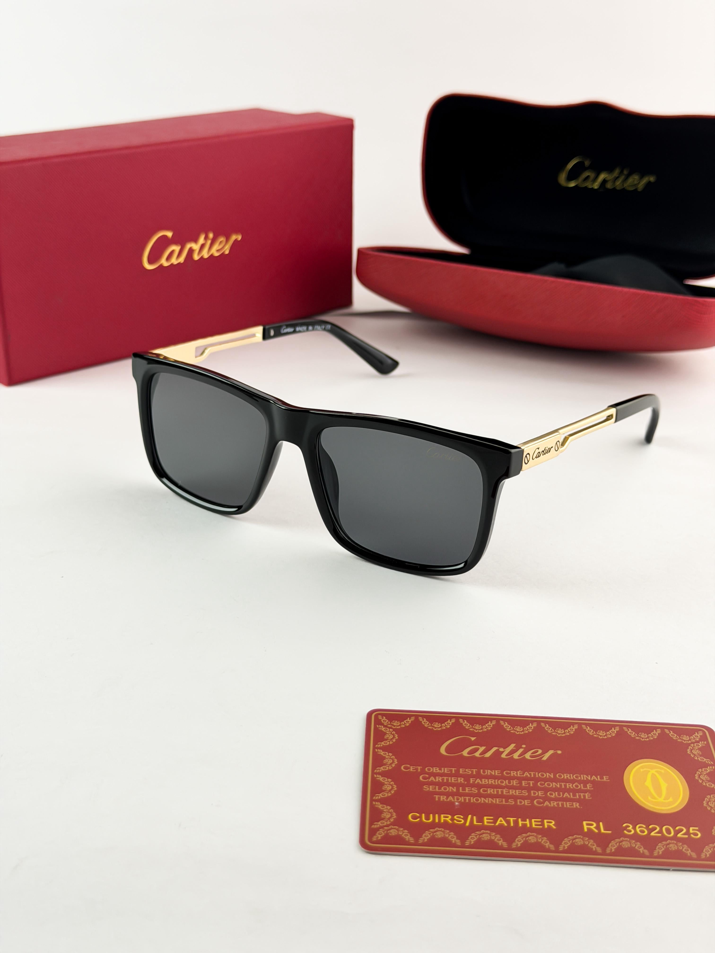 CAR__TIER SUNGLASS