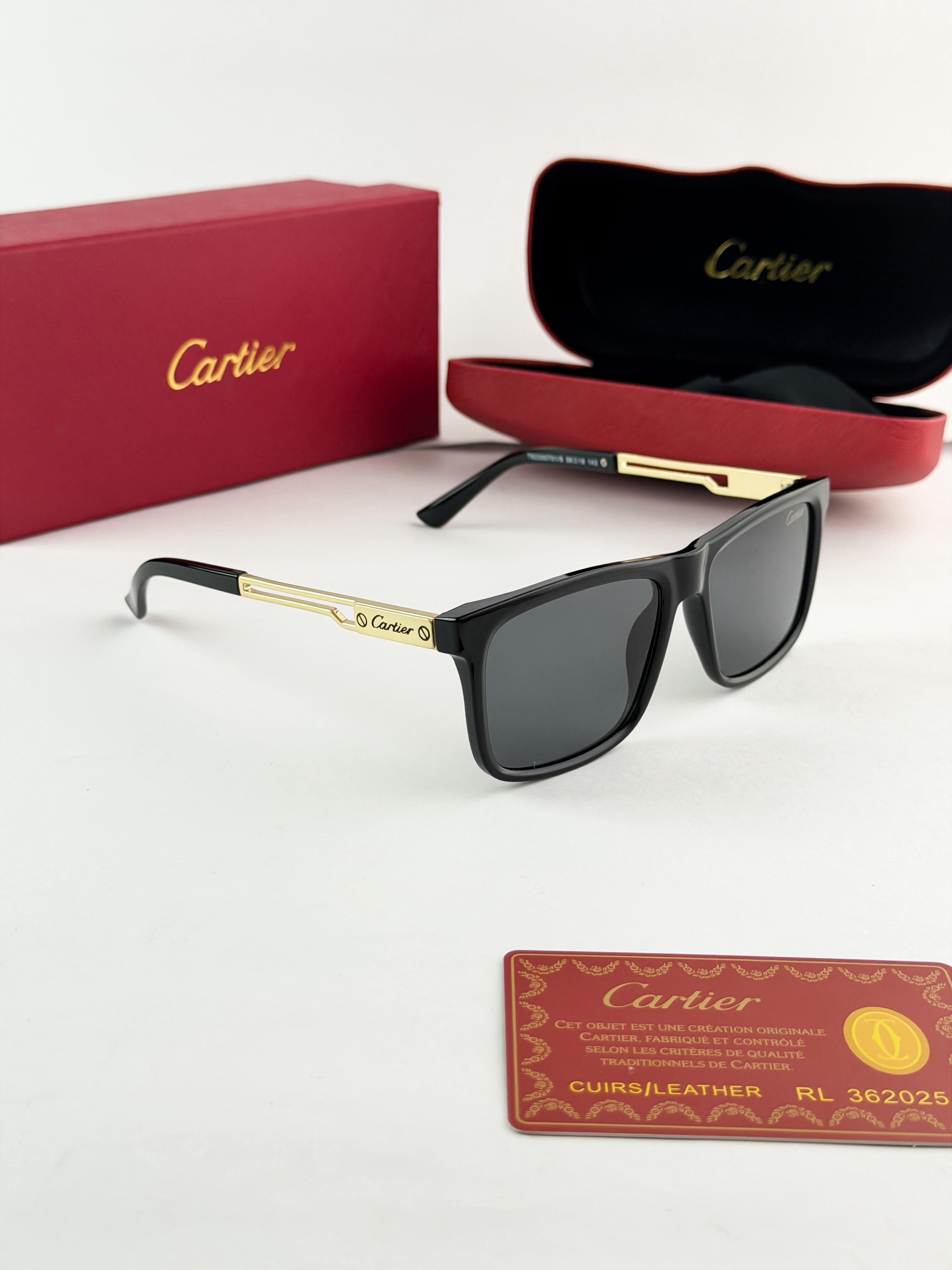 CAR__TIER SUNGLASS
