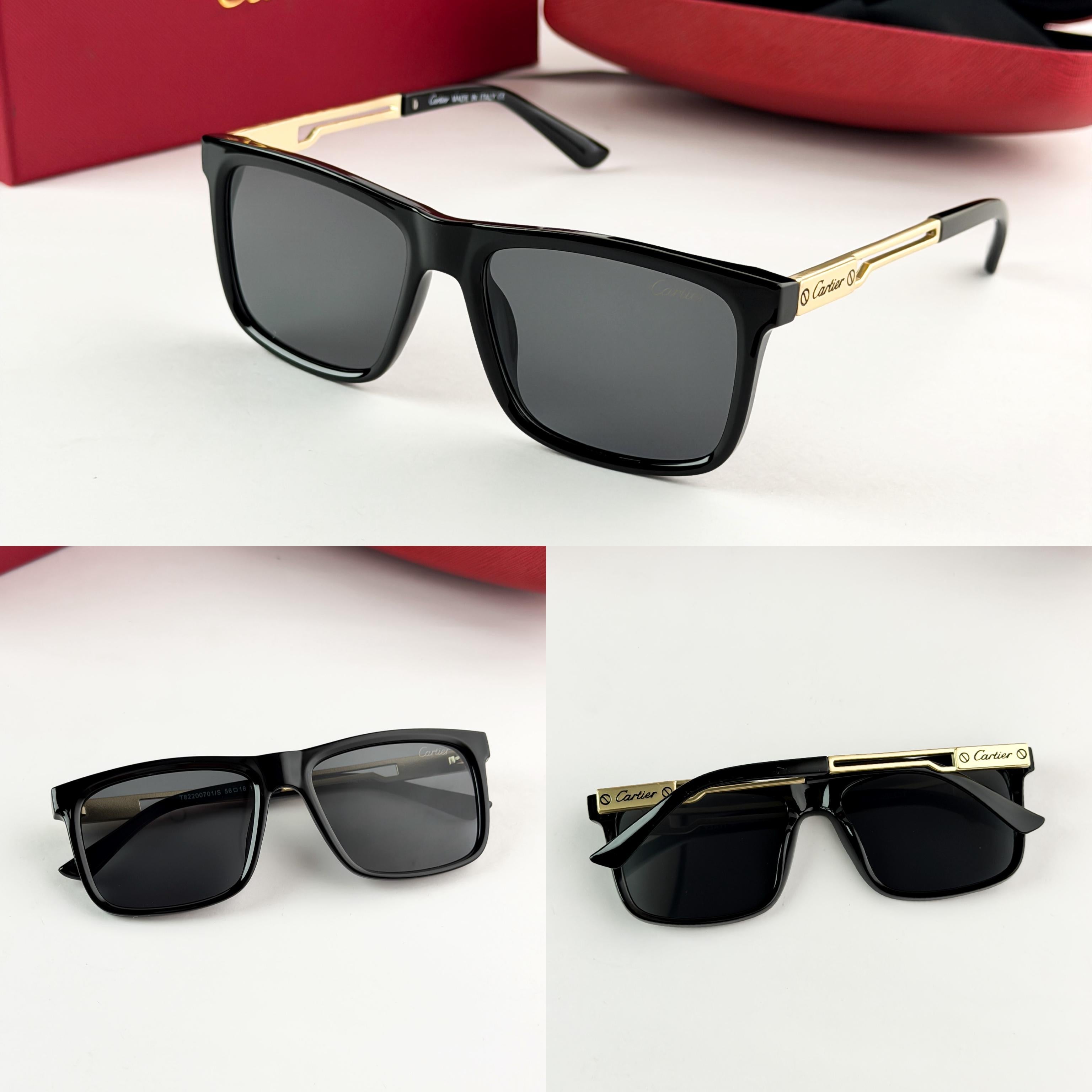 CAR__TIER SUNGLASS