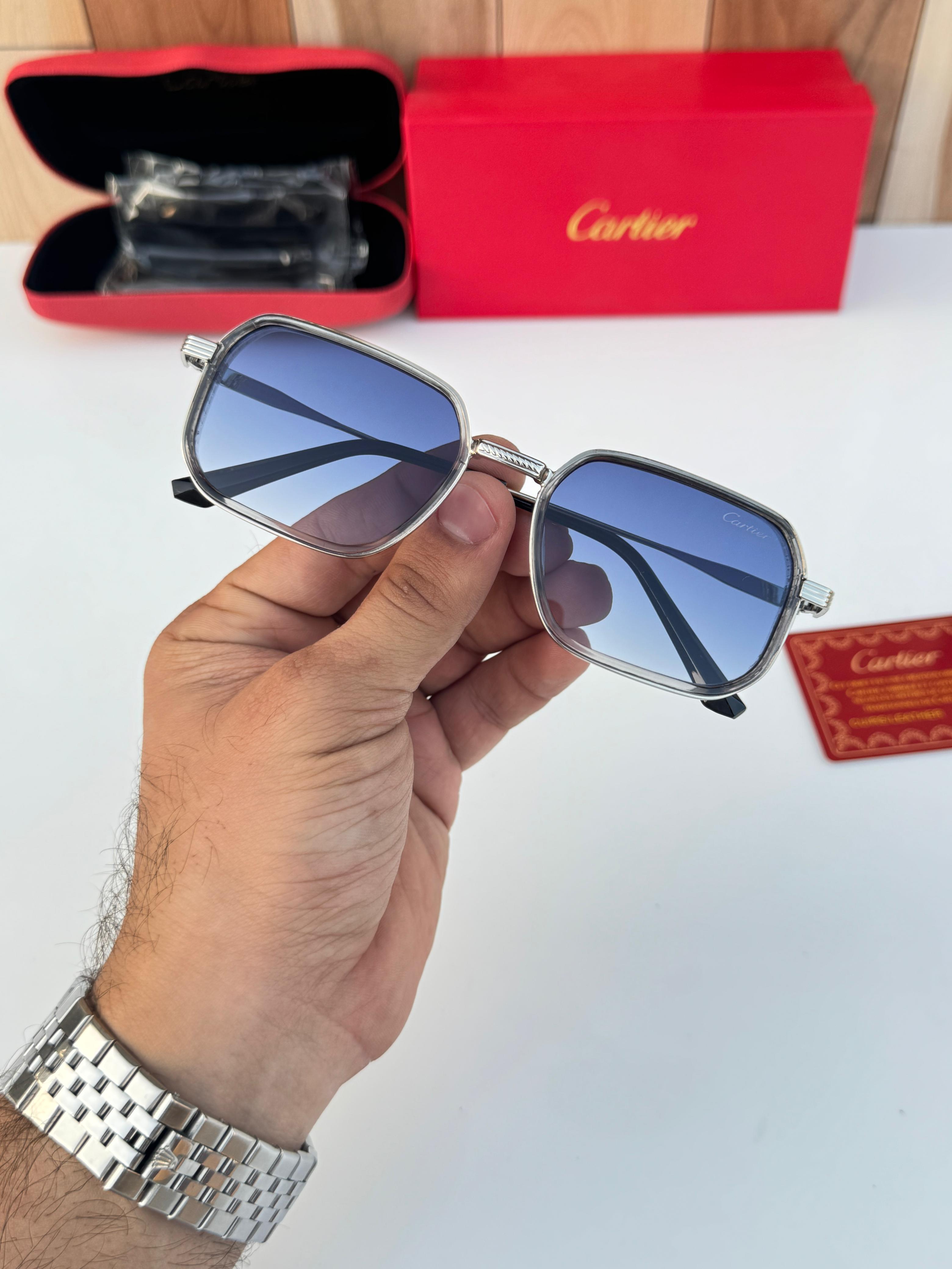 Car_t_ier 2841 silver blue