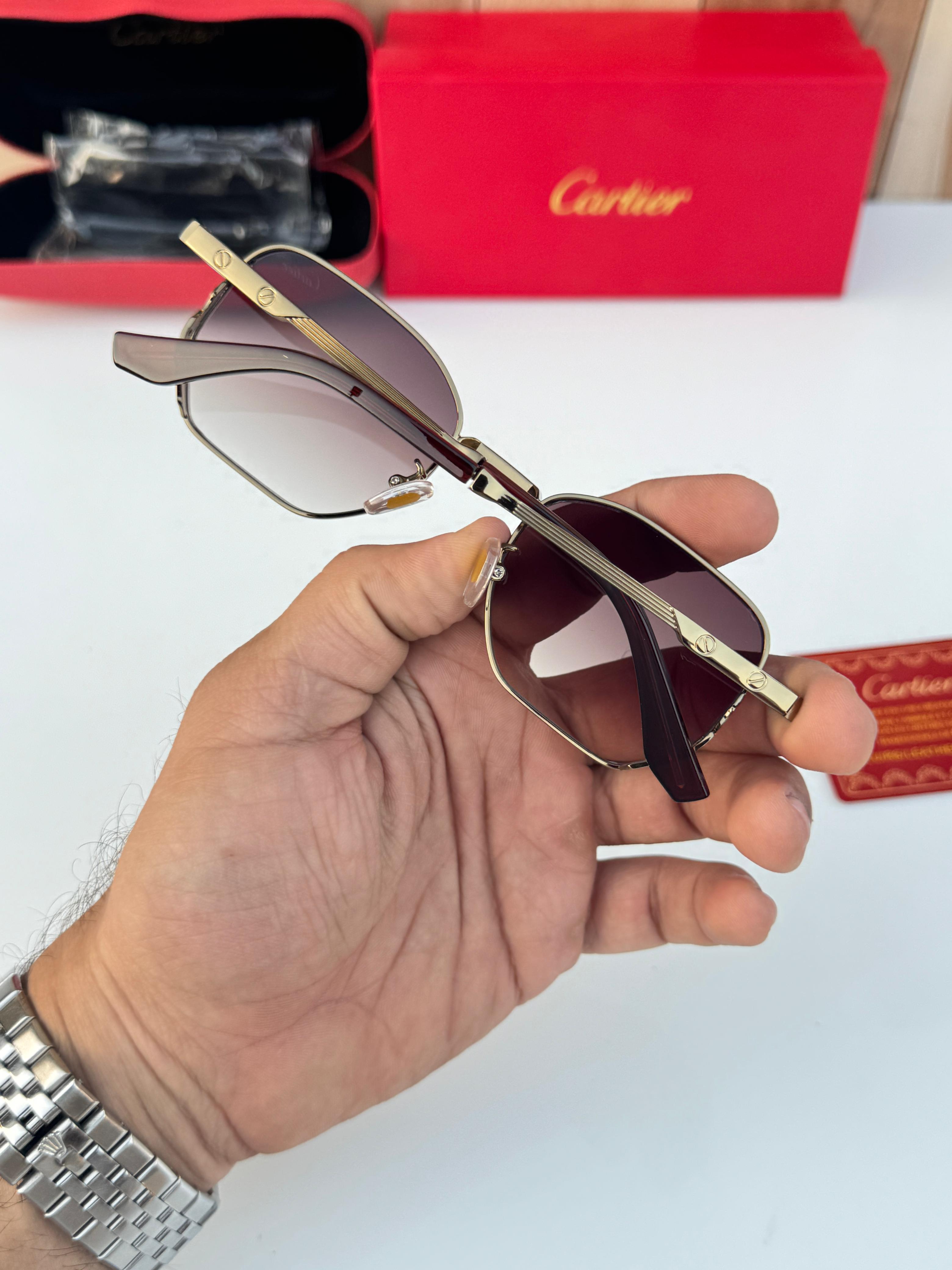 C_ar_tier 2684 copper brown