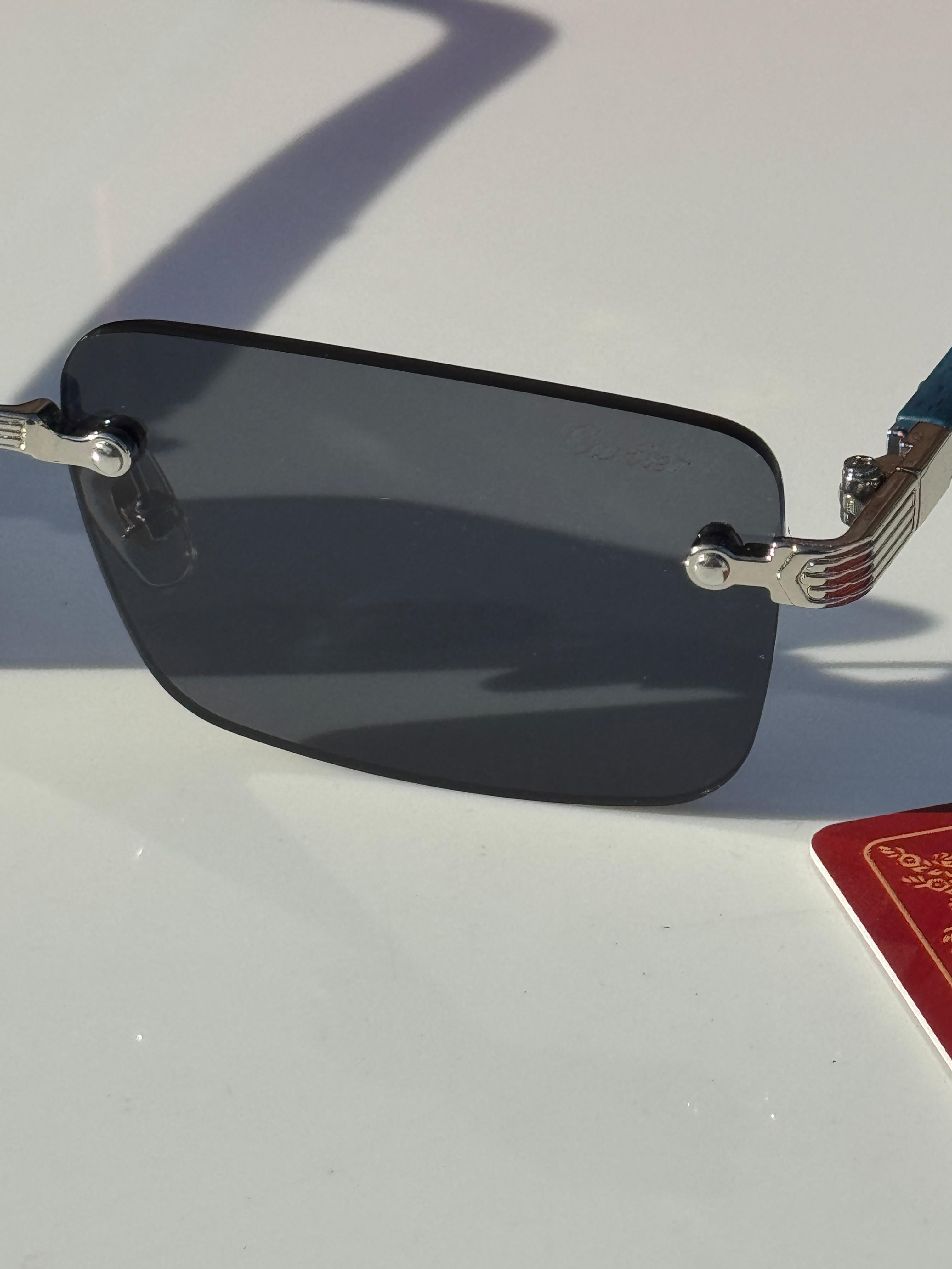 CAR 2652 SUNGLASS