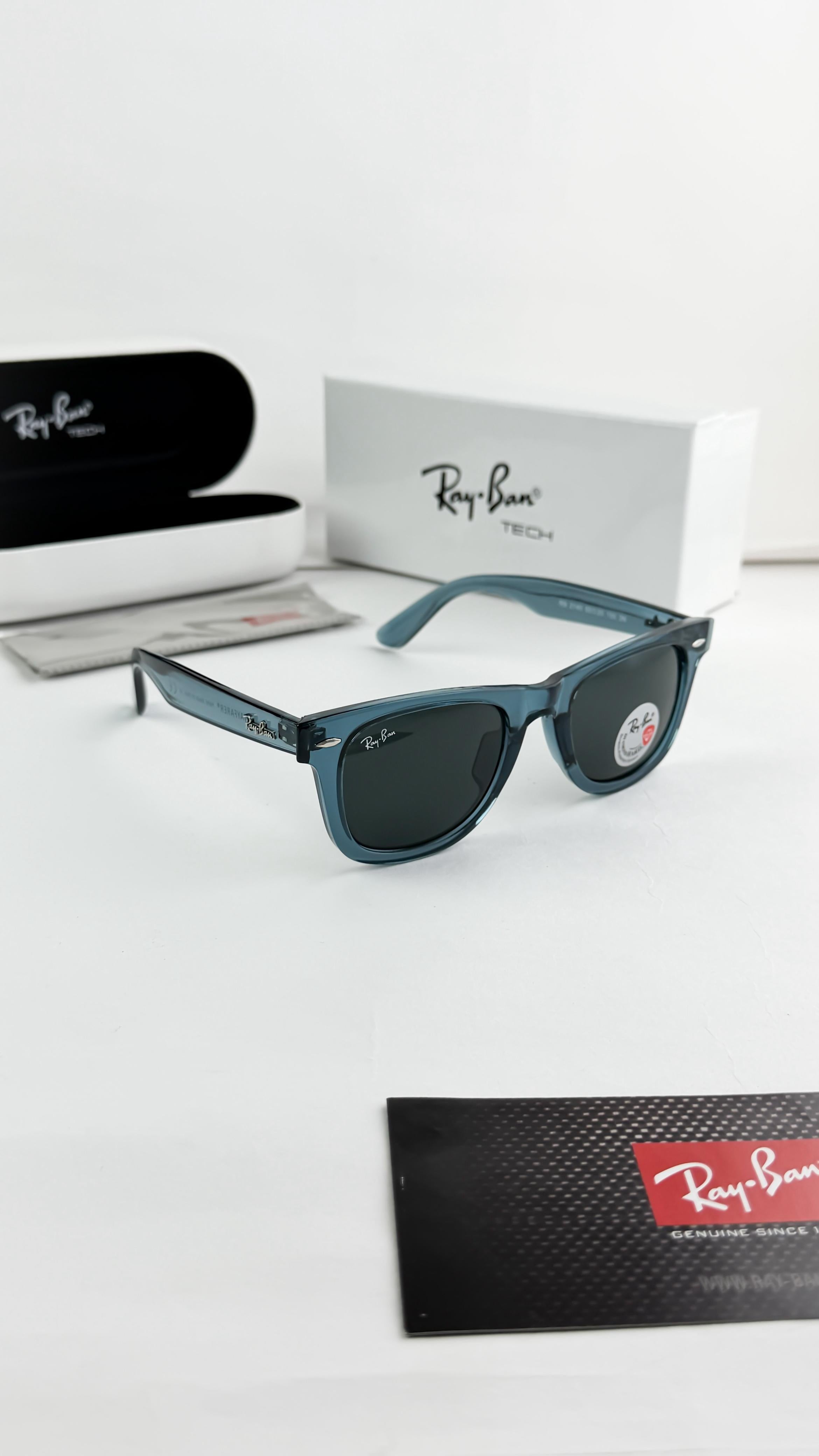 RAY  2941 SUNGLASS