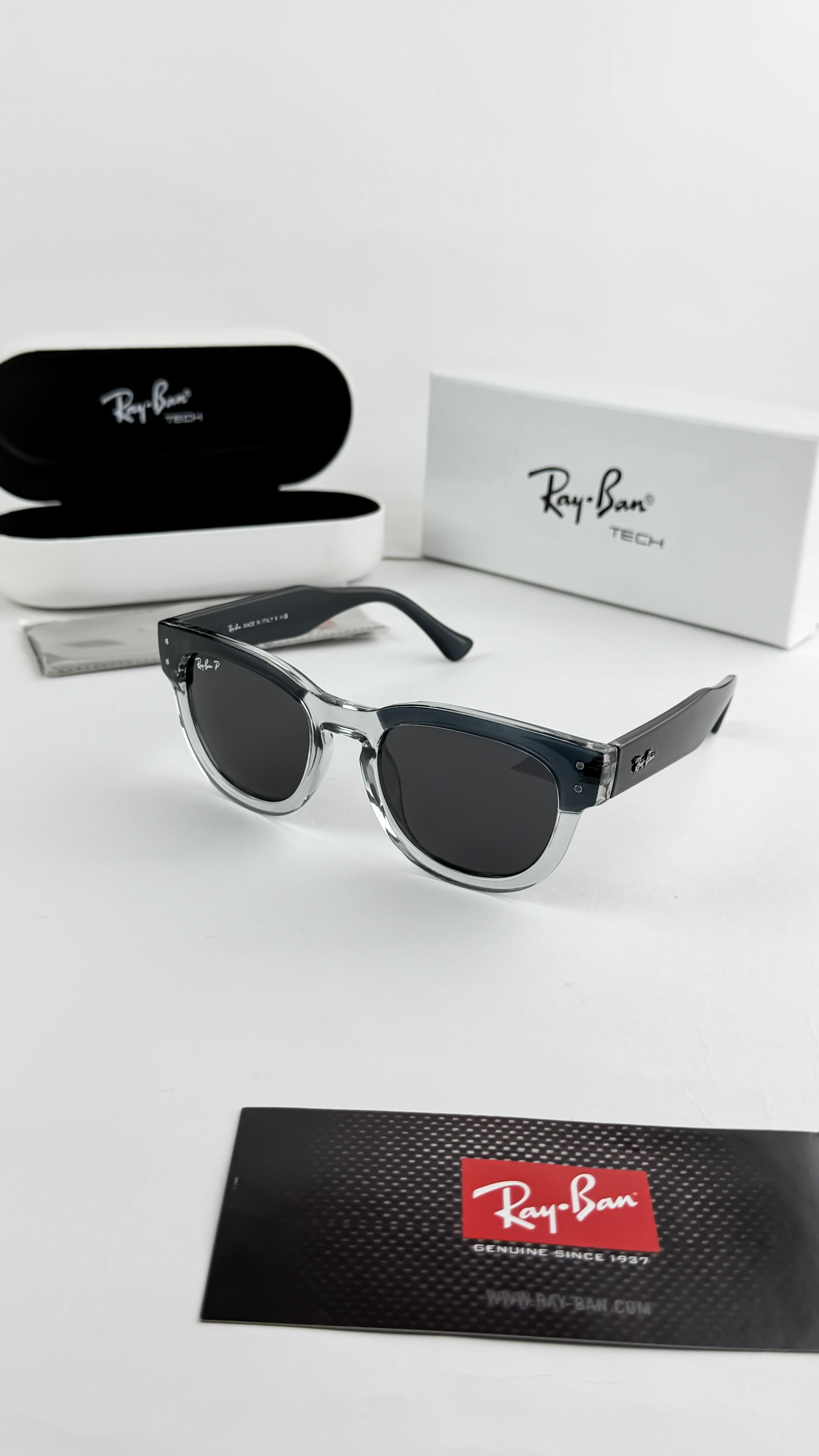 RAY 395 SUNGLASS