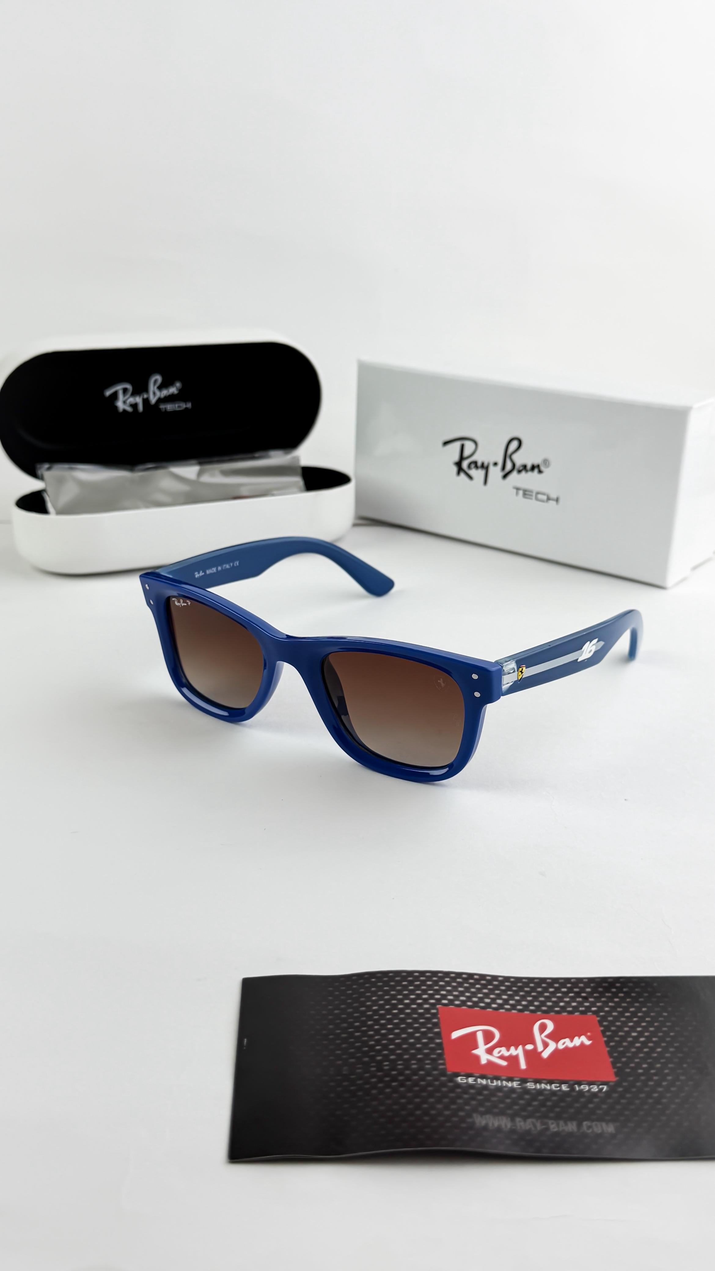 RAY 6594 SUNGLASS