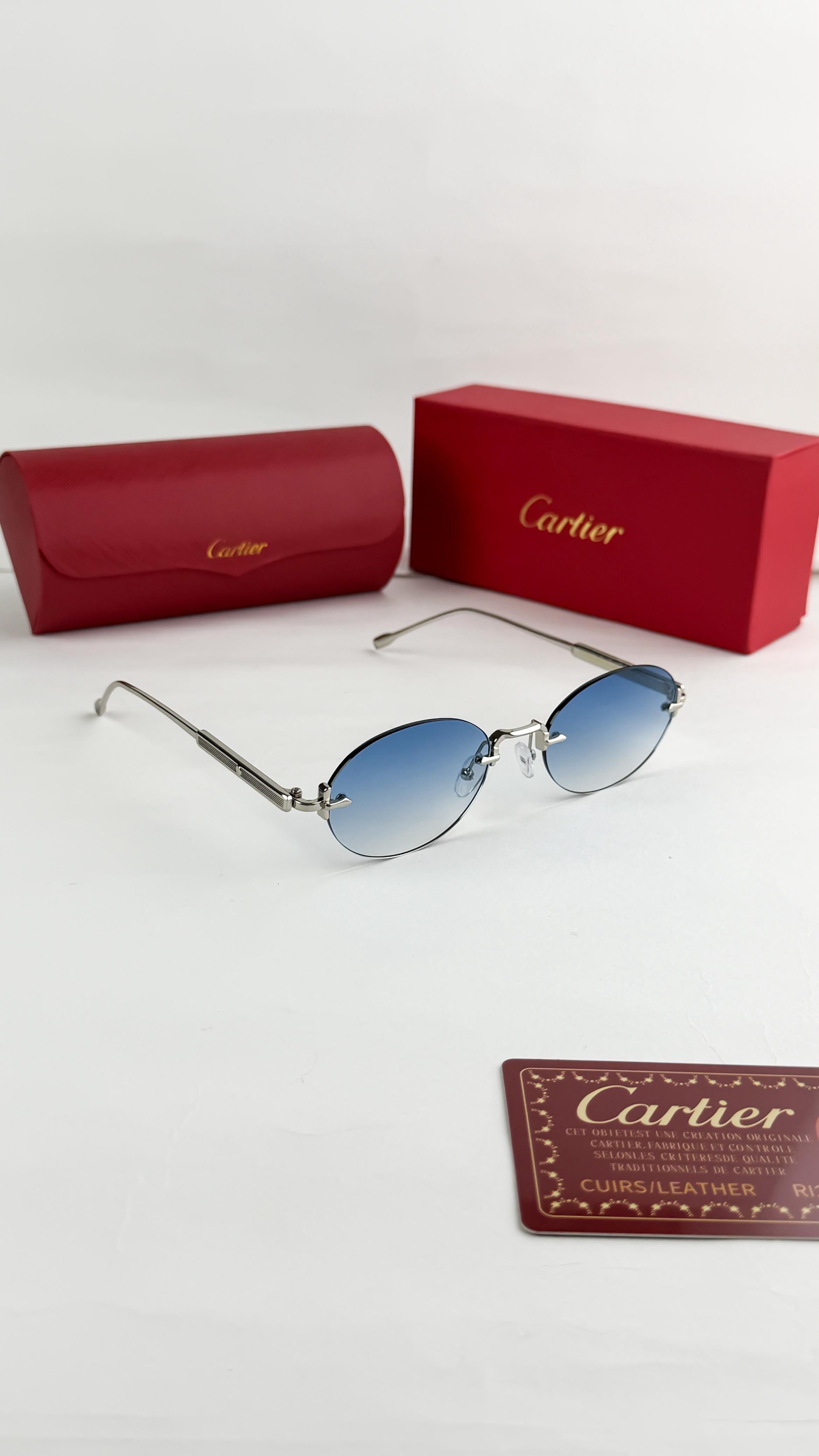 CAR 6995 SUNGLASS