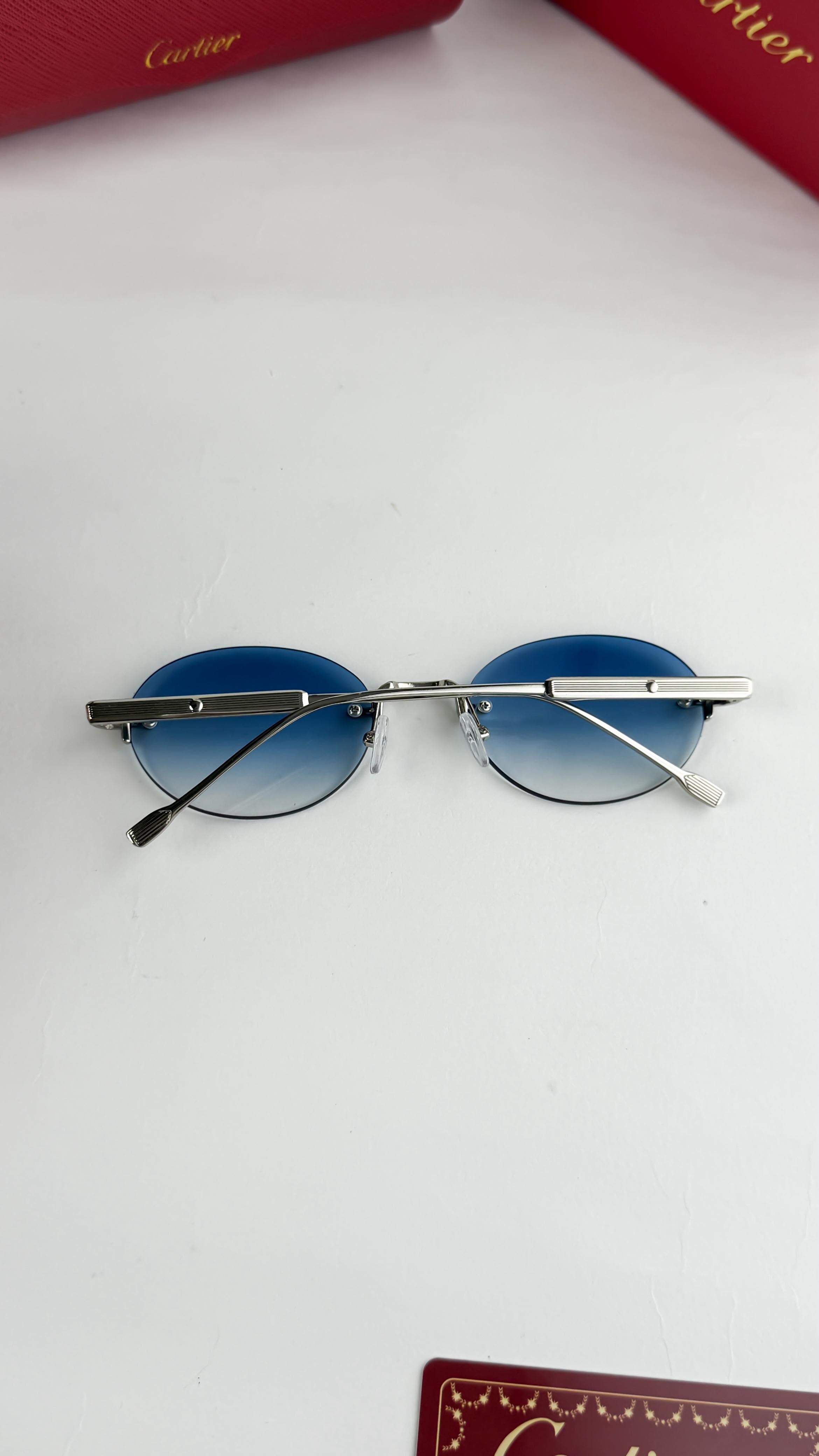 CAR 6995 SUNGLASS